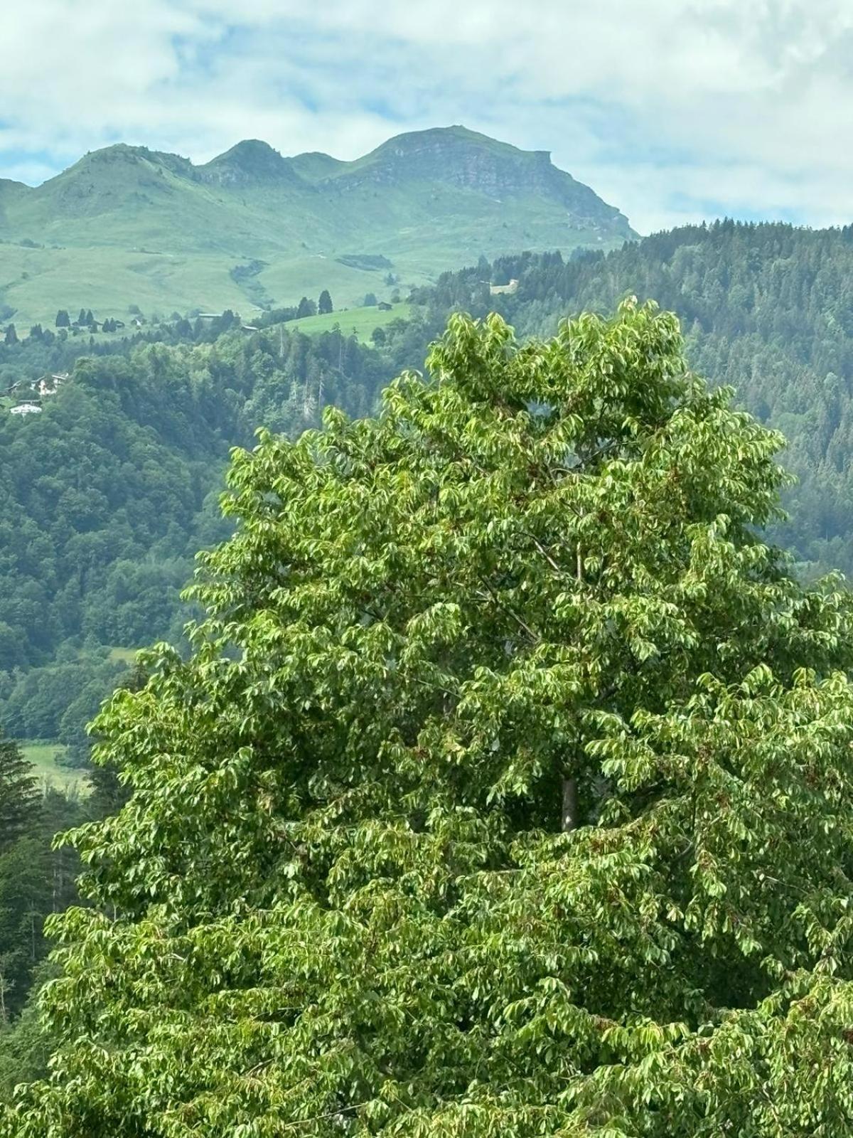 Landgasthof Zum Glenner Ilanz/Glion Экстерьер фото
